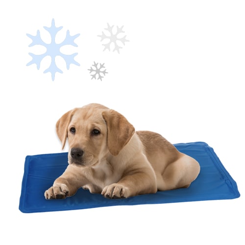 Tapis rafraîchissant 40 X 50 pour animaux