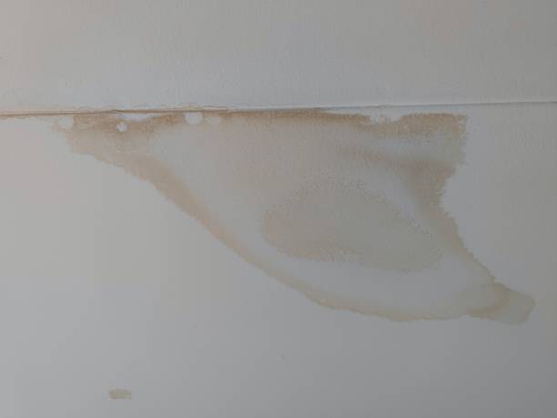 infiltration eau plafond